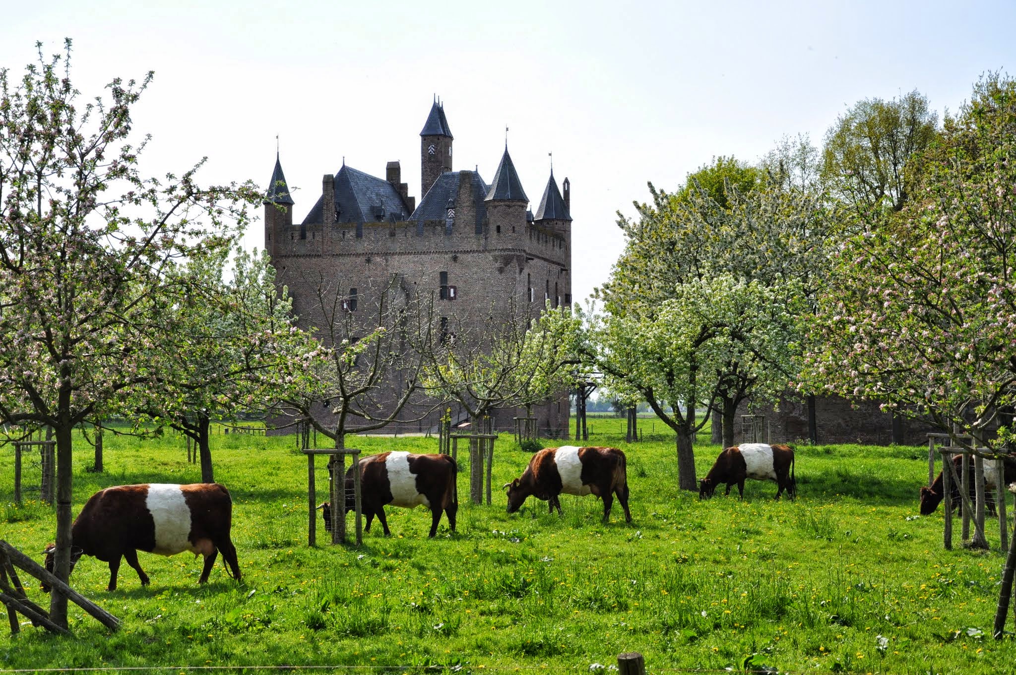 Kasteel Doornenburg sfeer 1