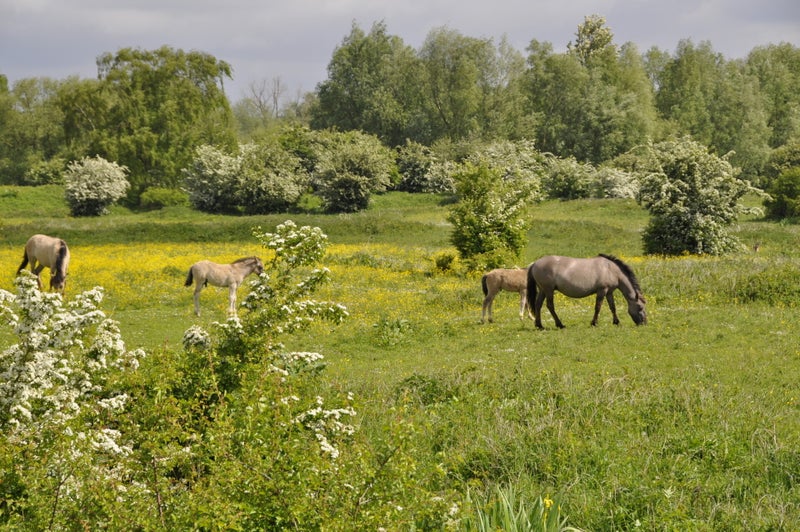 De Leeffabriek sfeer 7